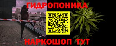 гидра Можга