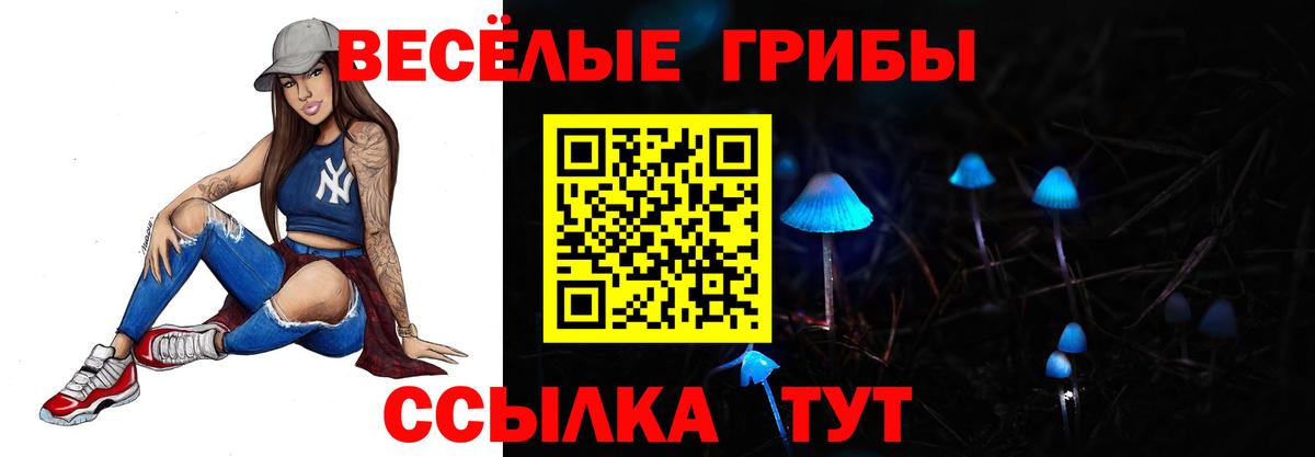 Удомля  Галлюциногенные грибы Cubensis  Галлюциногенные грибы Psilocybe  Вход с VPN 